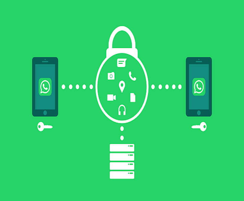 WhatsApp Business App vs API